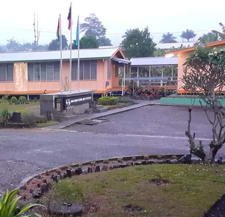 Melanesian Institute
